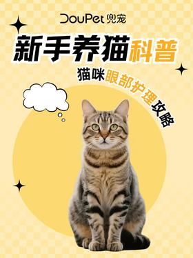 OMG!猫咪大眼睛的信号你看懂了吗？