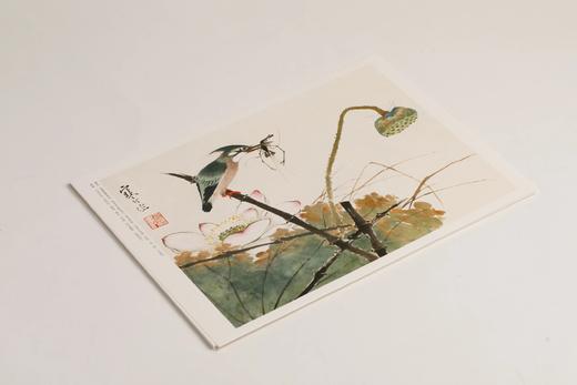 江寒汀百鸟百卉画册  本社 编 商品图4