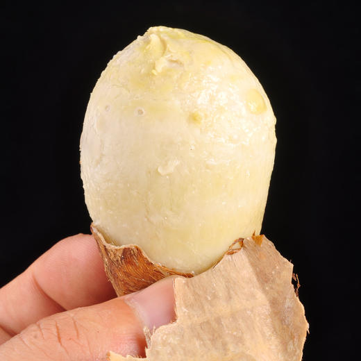 山东奶油芋头 4.5斤 新鲜现挖软糯丝滑坏果包赔 商品图1