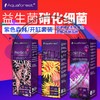波兰AF紫色森林Aquaforestt-硝化细菌/益生菌/益生菌生长剂 商品缩略图1