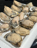 山东乳山生蚝，个体大、肥度高、肉质好、味鲜美  保鲜保活～ 商品缩略图5