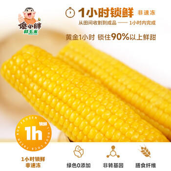 傻小胖【头茬玉米】内蒙古软糯鲜玉米（7-9穗）真空1小时锁鲜非速冻早餐 /粮油调味 /杂粮 /谷米类 商品图5