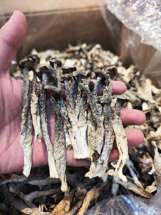 【精品干货合集】  包含鹿茸菇 、 花面香菇、东北木耳等； 商品图7