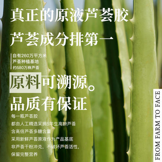 寻荟记丨芦荟胶40g-200g/支 商品图5