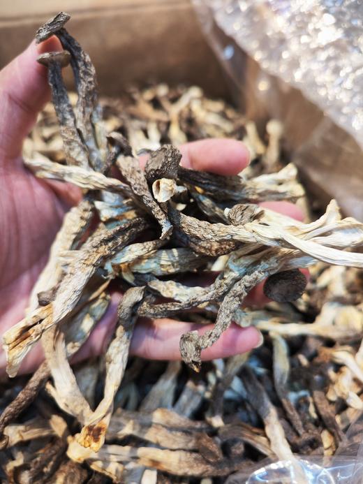 【精品干货合集】  包含鹿茸菇 、 花面香菇、东北木耳等； 商品图6