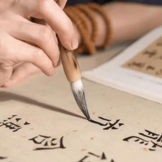 湖笔 特色创意笔杆设计 笔头吸墨实用 商品图0