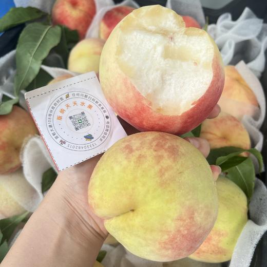 晚湖景水蜜桃 摆软后水水甜甜 商品图4