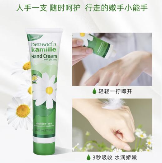 HERBACIN好本清小甘菊经典护手霜礼盒(经典75ml+20ml*2) 【教师节礼物】 商品图2