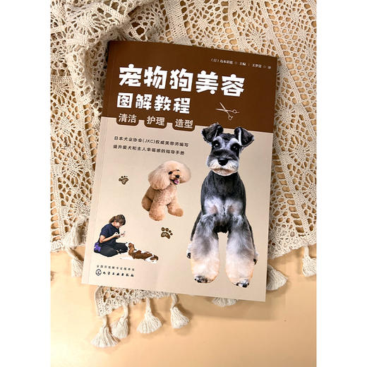 宠物狗美容图解教程：清洁、护理、造型 商品图6