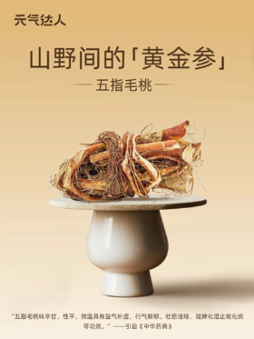 🌿五指毛桃 | 岭南“脾肺守护者”