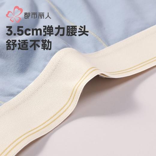 都市丽人内裤男士内裤40S棉拉架内裤明筋平角内裤男内裤FKHG07 商品图5