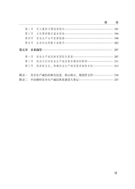 安全生产诚信体系理论——以中冶铜锌的海外实践为例 商品图3