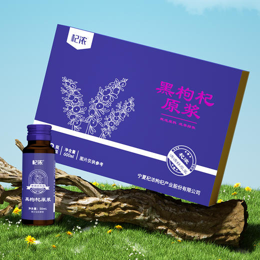 600黑枸杞原浆 商品图0