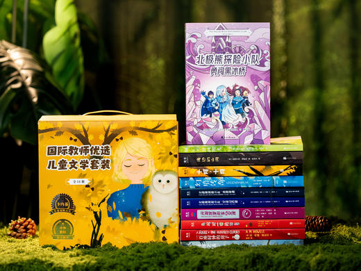 《国际教师优选小说套装》精美礼盒（全11册）| 本本获奖，数十项大奖拿到手软，百位中外一线名师推荐，重塑三观，培养孩子阅读兴趣 商品图1