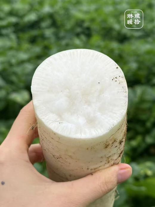 「香辣脆嫩」琳琅·手工萝卜干 小时候的味道！ txa 商品图11