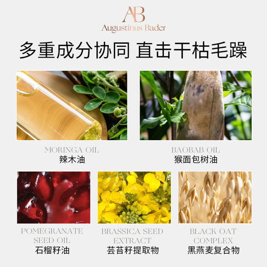【保税发货】奥古斯
汀·巴德-AB丰盈洗发水200ml 商品图3