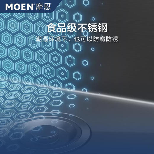 摩恩MOEN荷净镀层大单槽洗菜盆仿石纹水槽SK65834LB42 商品图3