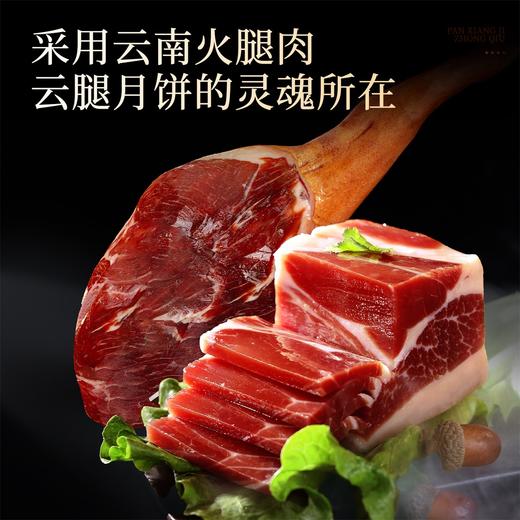 潘祥记官方旗舰店[多口味混和装云腿月饼]礼盒 商品图5