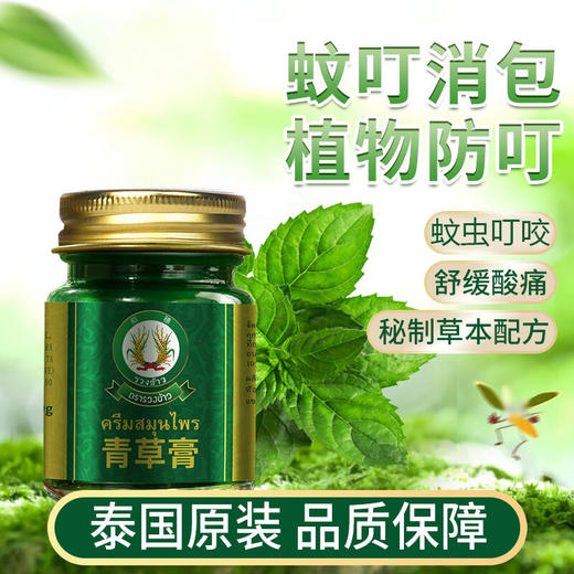 【分仓直发包邮】泰国稻穗青草膏15g*3 商品图0