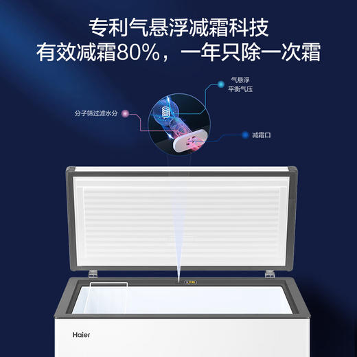 海尔（Haier）300升卧式低霜商用家用冰柜 大容量冷藏柜冷冻柜小冰柜家用母乳小型冰箱冷柜BC/BD-300GHPDZ 商品图1