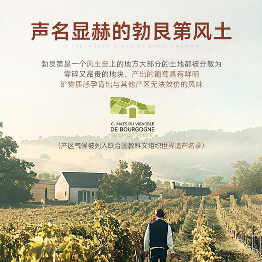 【连续3年-G&G大赛金奖】法国爱丽泽庄园小夏布利干白葡萄酒 12.5%vol 商品图9
