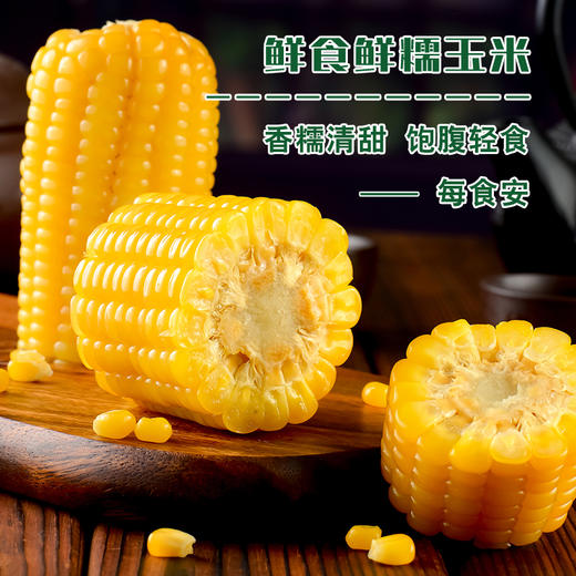 源自北纬43°C世界黄金玉米带  有机三色糯玉米  鲜糯清甜 商品图0