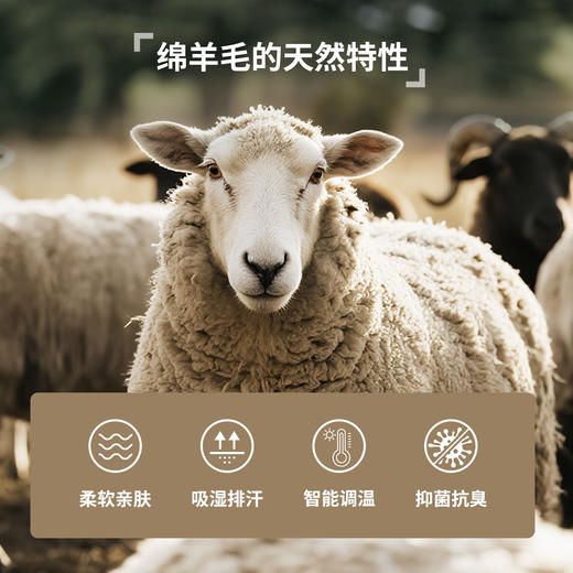 北极狐 男士羊毛混纺抓绒衣 25秋冬加绒保暖立领长袖T恤042521028 商品图1