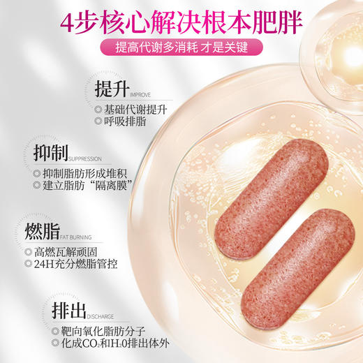 百年扁氏左旋肉碱多酚片30片/瓶 商品图2