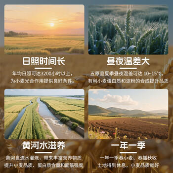 鑫乐【内蒙古产地】原味小麦粉9斤河套平原核心产区源头直发包邮 /粮油调味 /面粉 /通用粉 商品图1