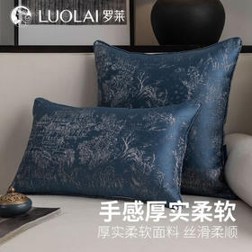 罗莱软装-氤氲抱枕 米灰色 45*45