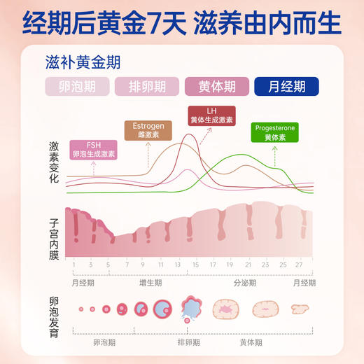 【内购专属 | 养宫系列】官栈养宫系列即食花胶70gx7瓶-常规礼盒 商品图4