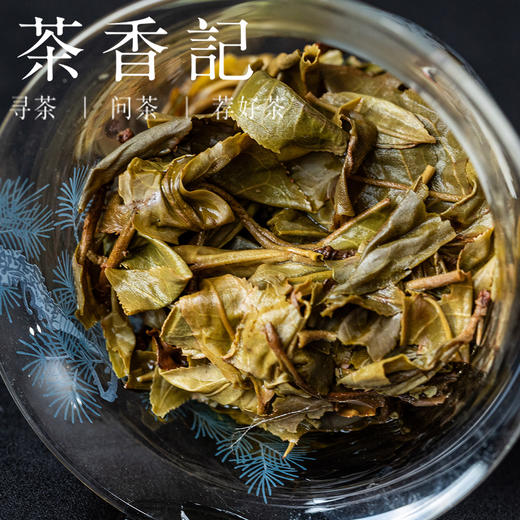 茶香记小勐峨古树生普021饼云南普洱茶茶叶深山古树喝存皆宜清冽甘甜 商品图4