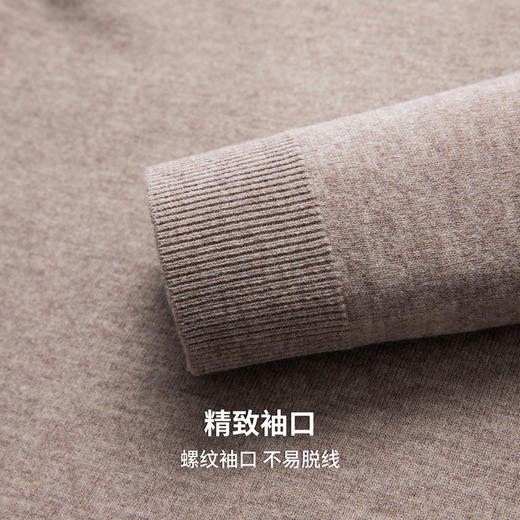 【100%绵羊毛】圣得西高领男款针织羊毛衫2025年秋季新款加厚毛衣 商品图8