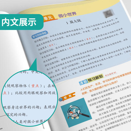 2025年秋 小学科学【教科版】 六年级上册 实验班学霸笔记 6年级 商品图3