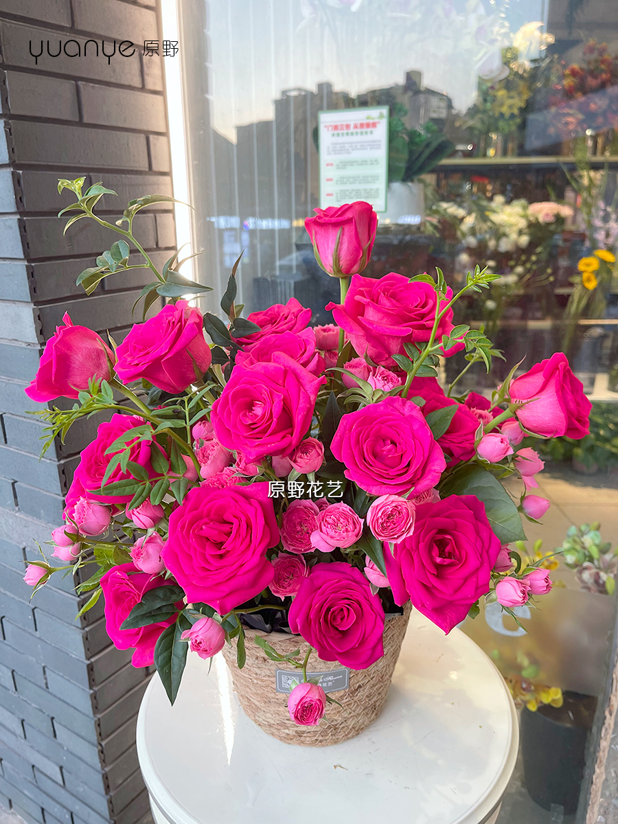 【莫奈花园】弗洛伊德玫瑰混搭抱抱桶