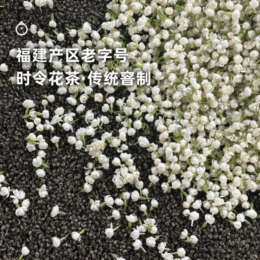 企鹅吃喝|福建福州茉莉花茶 茉莉龙珠/茉莉银针 匠心工艺 香味沁人 商品图6