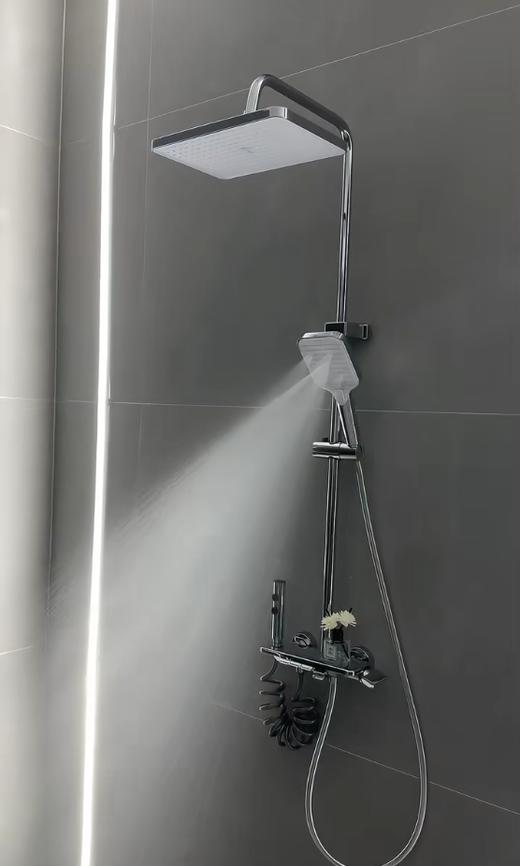 6040 普罗旺斯全铜四档花洒-电镀 商品图4