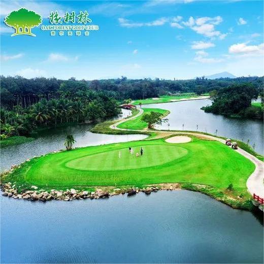 海南万宁·兴隆橡树林高尔夫俱乐部 Oak Forest Golf Club |  万宁高尔夫球场 | 海南高尔夫球场俱乐部 | 中国 商品图1