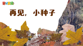 2025年8月 再见，小种子