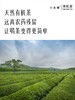小从峰有机绿茶 2025新茶有机茶原生态茶100g袋装 商品缩略图2