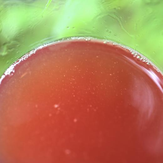 平人有机草莓饮  250ml/瓶 商品图3