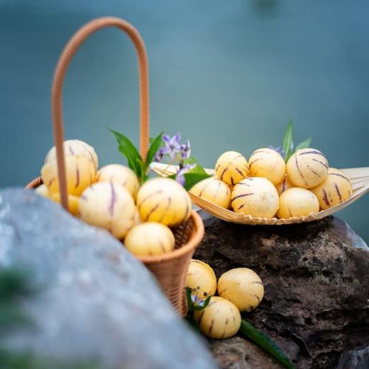 ZS石林树熟人参果#清甜爽口一口爆汁，坚持树上熟甜度10+，现摘现发，孕妇小孩老人放心食用 商品图2