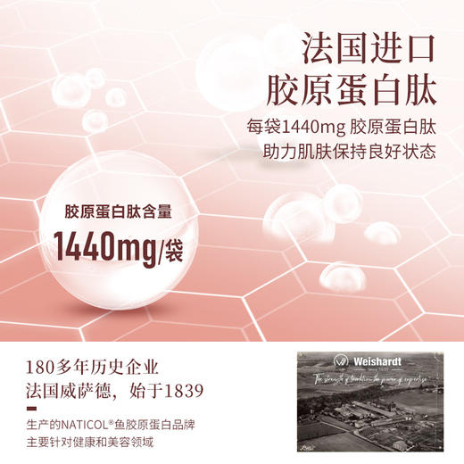 妆食记 火麻仁藜麦葛根复合蛋白肽固体饮料 商品图2