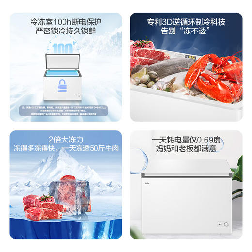 海尔（Haier）300升卧式低霜商用家用冰柜 大容量冷藏柜冷冻柜小冰柜家用母乳小型冰箱冷柜BC/BD-300GHPDZ 商品图3