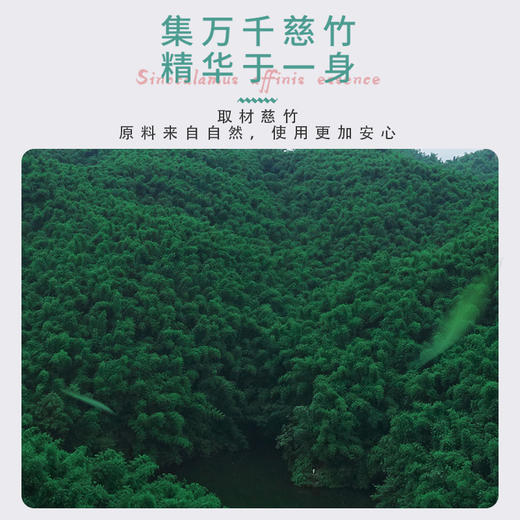 若禺卷纸原生竹浆中心抽取式卫生纸大卷纸1件12卷RZX001 商品图4