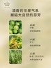艾薇丹月桂守护天然精油洗手液 300ml 商品缩略图1