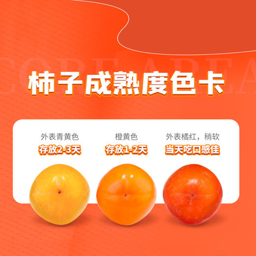 新鲜水果 口感细腻甜柿子 8枚/盒 商品图4