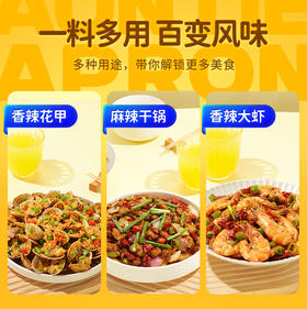 三只松鼠 围裙阿姨 _小龙虾蒜蓉/麻辣/十三香调味料200g