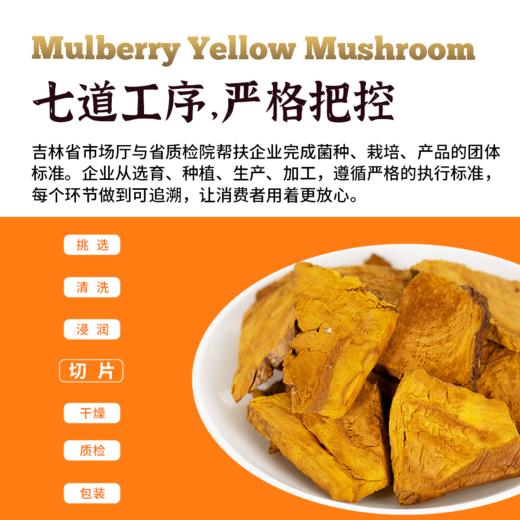 长白山三年有机桑黄30g/盒分装版 商品图3