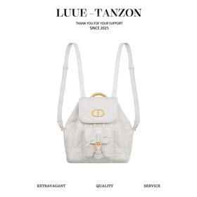 迪奥 Caro秋冬系列小号双肩包 (LZ)